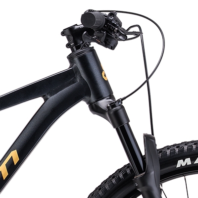 ctm-rascal-pro-29-d1